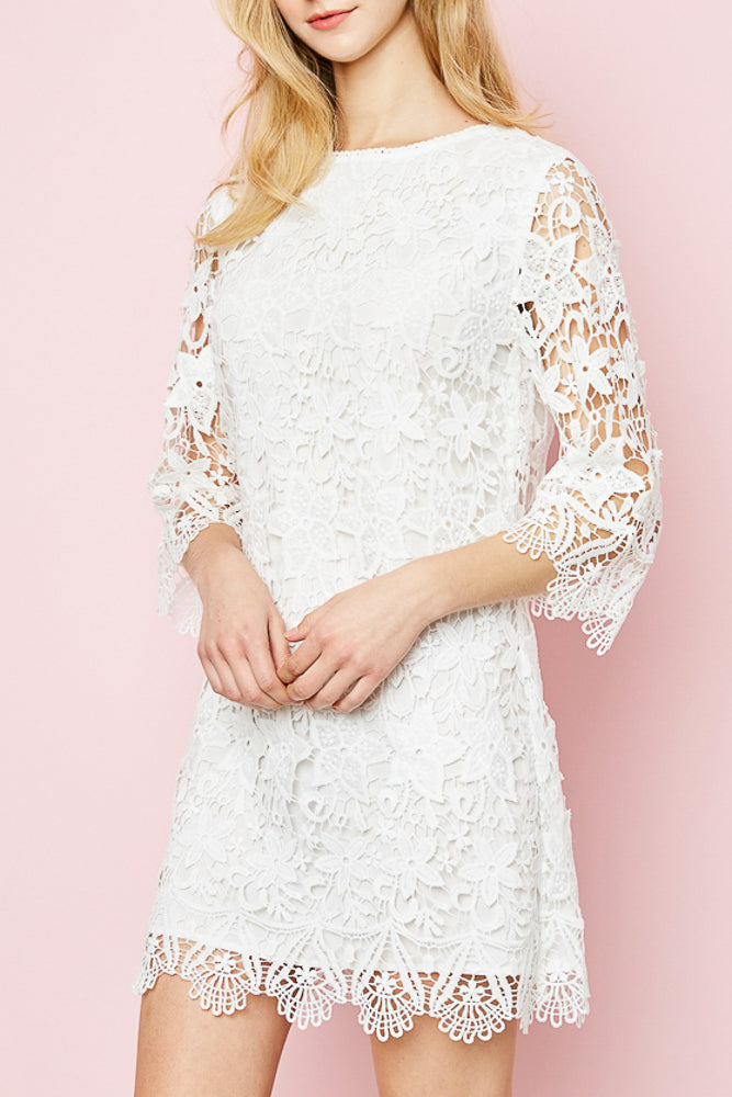 Lace Shift Dress Heart & Soul Clothing Co. Lace Shift Dress Heart & Soul Clothing Co.