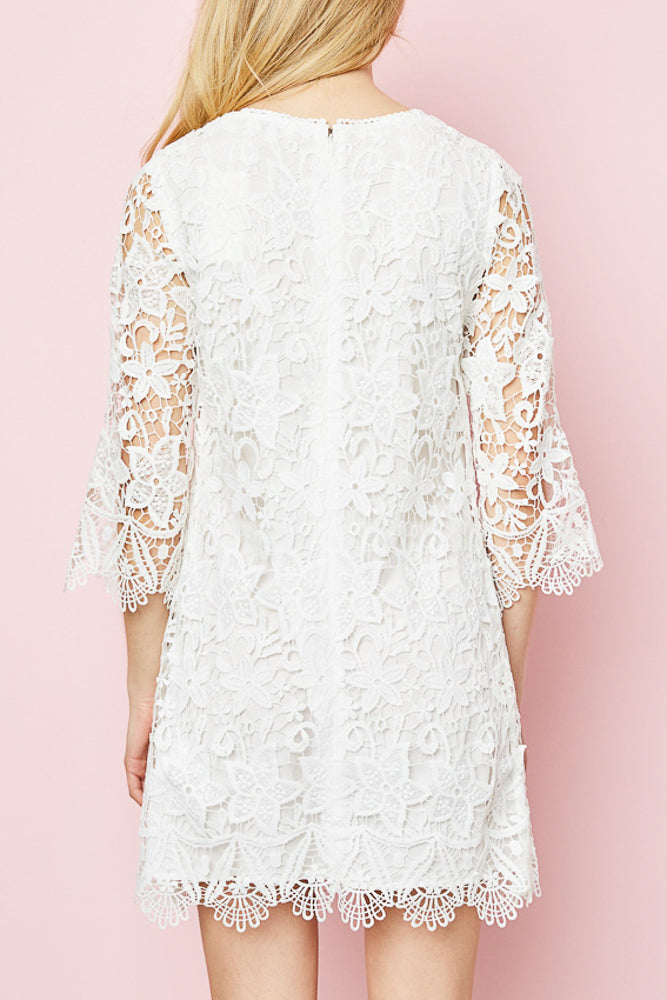 Lace Shift Dress Lace Shift Dress