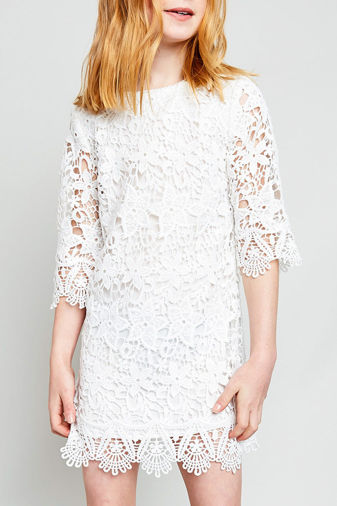 Lace Shift Dress Lace Shift Dress